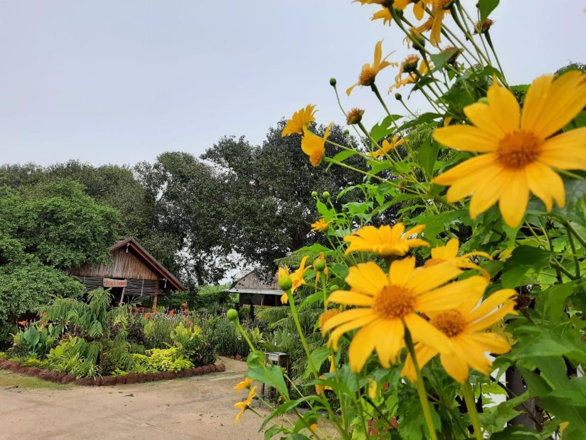 Beach Lagoon Parans Hotel Arugam Bay Buitenkant foto