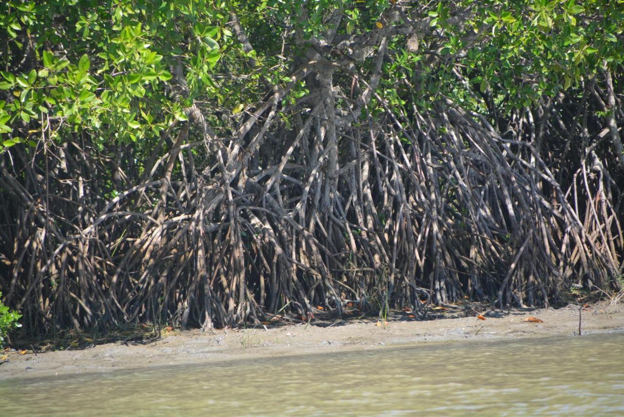 Beach Lagoon Parans Hotel Arugam Bay Buitenkant foto
