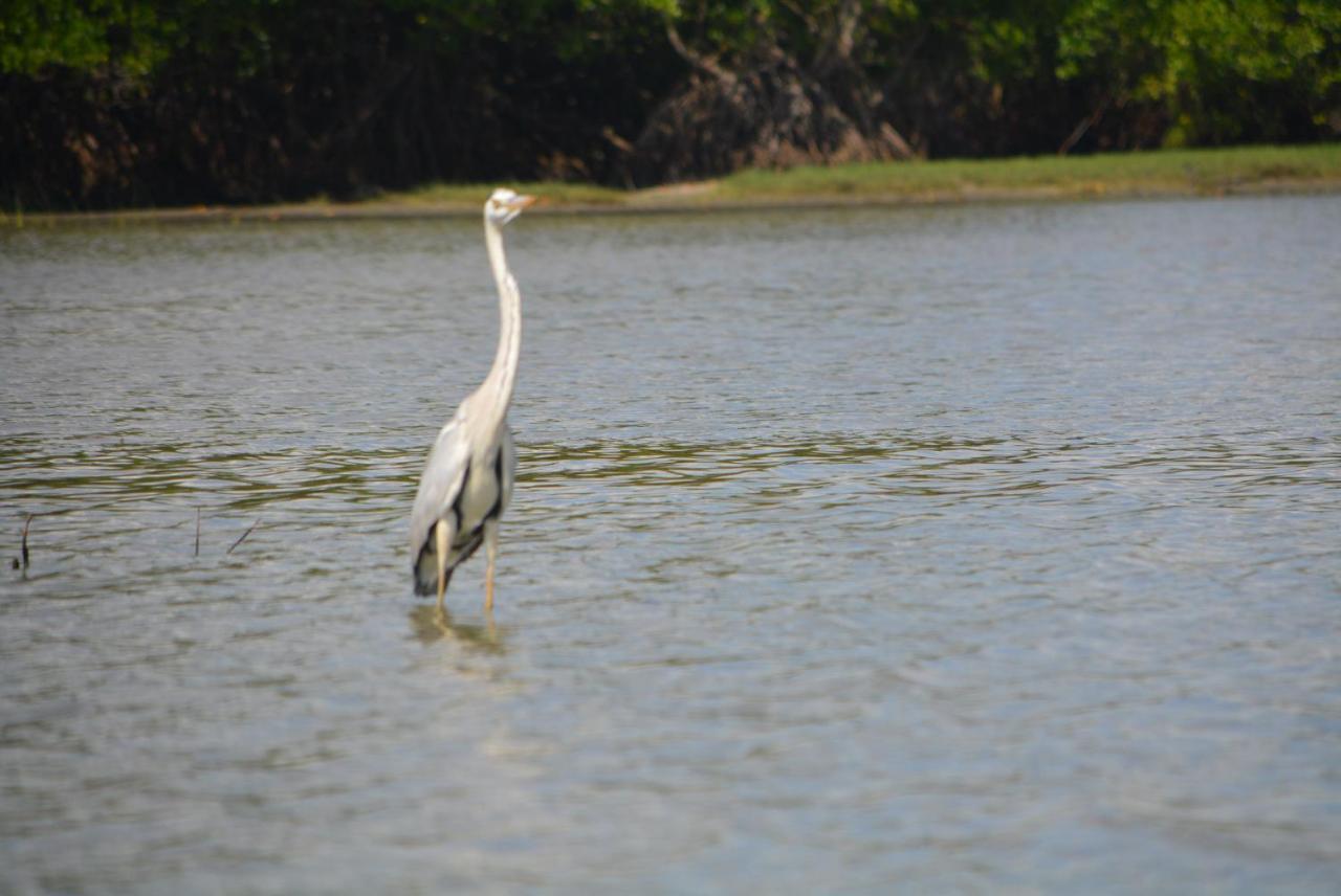 Beach Lagoon Parans Hotel Arugam Bay Buitenkant foto